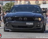 TSR Watermark - 0632